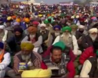 बीजेपी सांसद का बयान,  पिज्जा-बर्गर खा रहे ये किसान फर्जी हैं, पैसे लेकर आंदोलन कर रहे