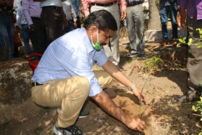 उमरिया: मुख्यमंत्री श्री चौहान के जन्म दिवस के अवसर पर ग्राम पंचायतों एवं आंगनबाड़ी केन्द्रों में किया गया वृक्षारोपण