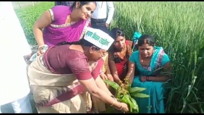 बाराबंकी: पौधरोपित कर मनाया गया जनकल्याण किसान एसोसिएशन के प्रथम स्थापना दिवस