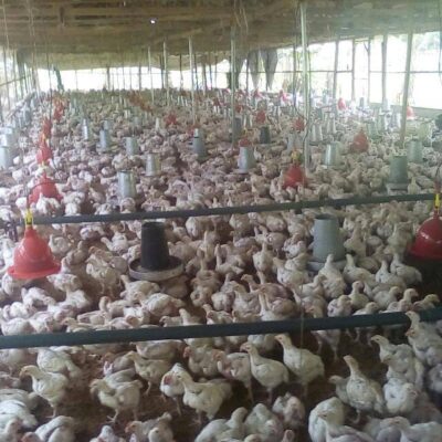 बाराबंकी : ग्रामीणों को संक्रामक बीमारियों का शता रहा भय