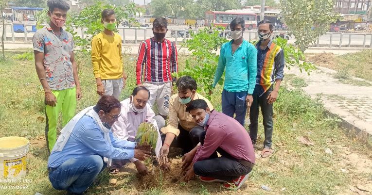 मैनपुरी: नगर में मुख्य जगहों पर लगाए वृक्ष