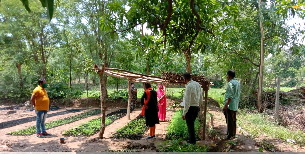 उमरिया: कोरोना कर्फ्यू के दौरान सब्जियां उगा रहीं हैं ज्ञानेश्वरी कुशवाहा