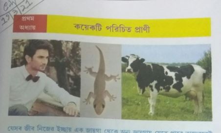 अब बच्चों की स्कूली किताबों में दिखे सुशांत सिंह राजपूत? सोशल मीडिया पर वायरल हो रही ये Photos