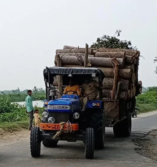 पीलीभीत :एसएसबी की मदद से क्षेत्रीय वन दरोगा ने पकड़ी लकड़ी ।