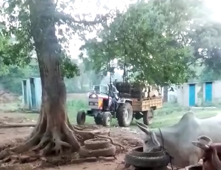 बाराबंकी -दिनदहाड़े पेड़ों पर चल रहे आरे ,वन माफियाओं पर नहीं हो रही कोई कार्रवाई