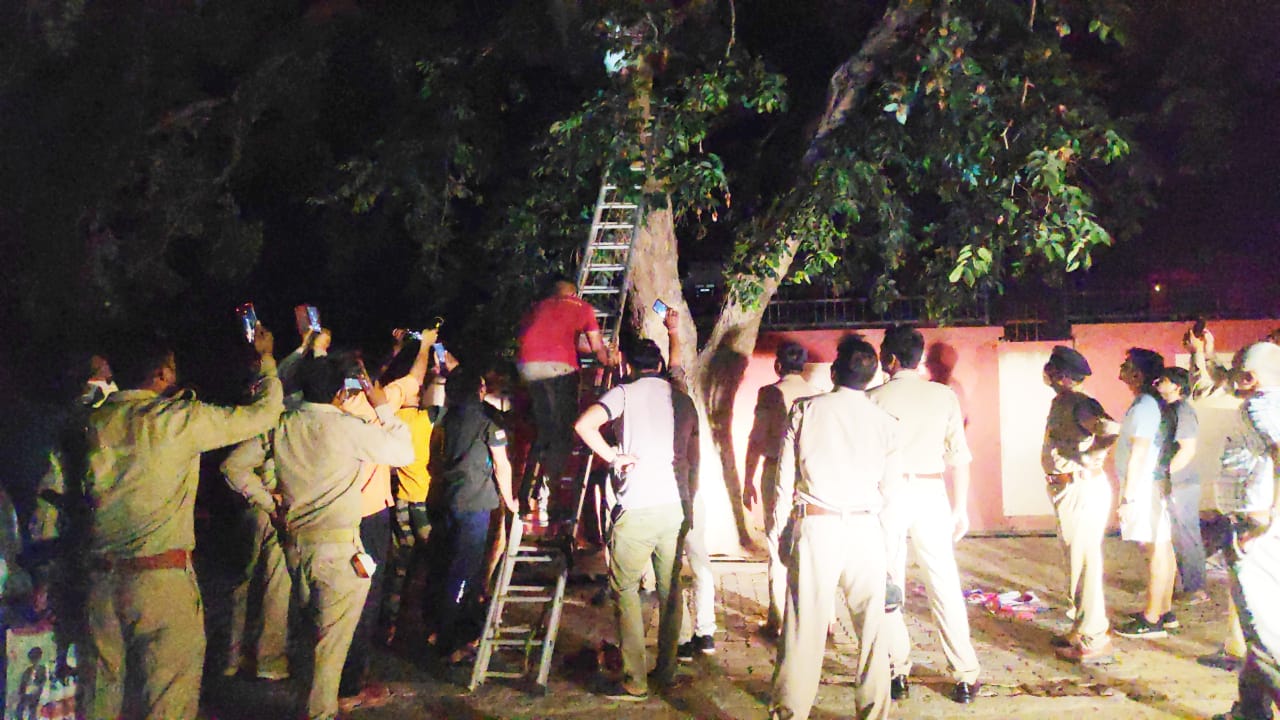 इटावा: न्याय न मिल पाने के कारण महिला चढ़ी तहसील परिसर में लगे पेड़ पर
