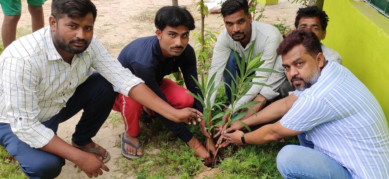 मैनपुरी : तीस दिन में रोपे जाएँगे एक हज़ार पौधे, विश्व पर्यावरण दिवस पर लिया संकल्प