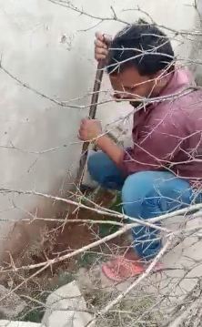 उमरिया : विश्व पर्यावरण दिवस पर रोपित किये पौधे