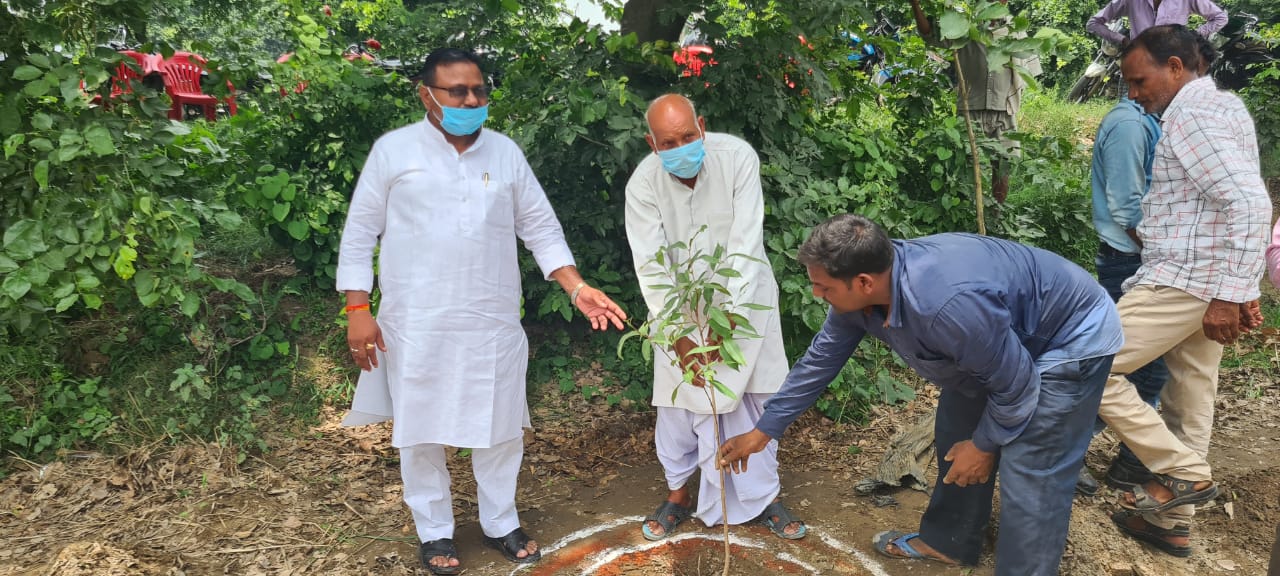 पीलीभीत : विधायक बाबूराम पासवान ने किया वन महोत्सव कार्यक्रम का शुभारंभ