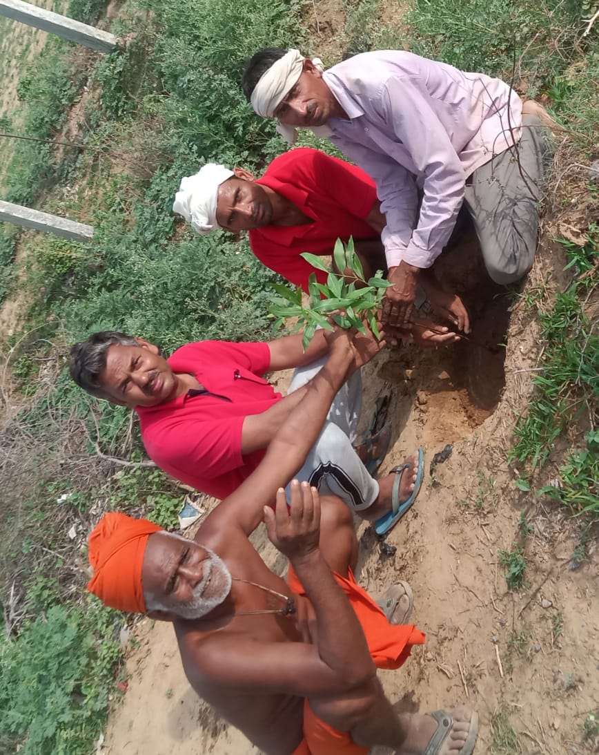 इटावा: पर्यावरण संरक्षण हेतु ,विभिन्न जगहों पर किया गया वृक्षारोपण