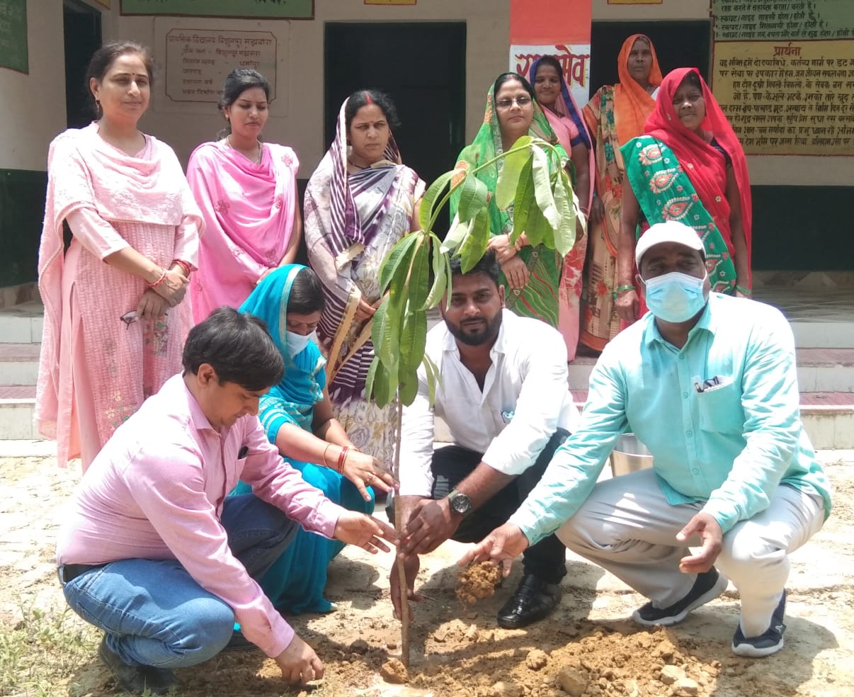जौनपुर/सिरकोनी:मझवारा गांव के प्राथमिक विद्यालय पर प्रधानाध्यापिका द्वारा किया गया वृक्षारोपण