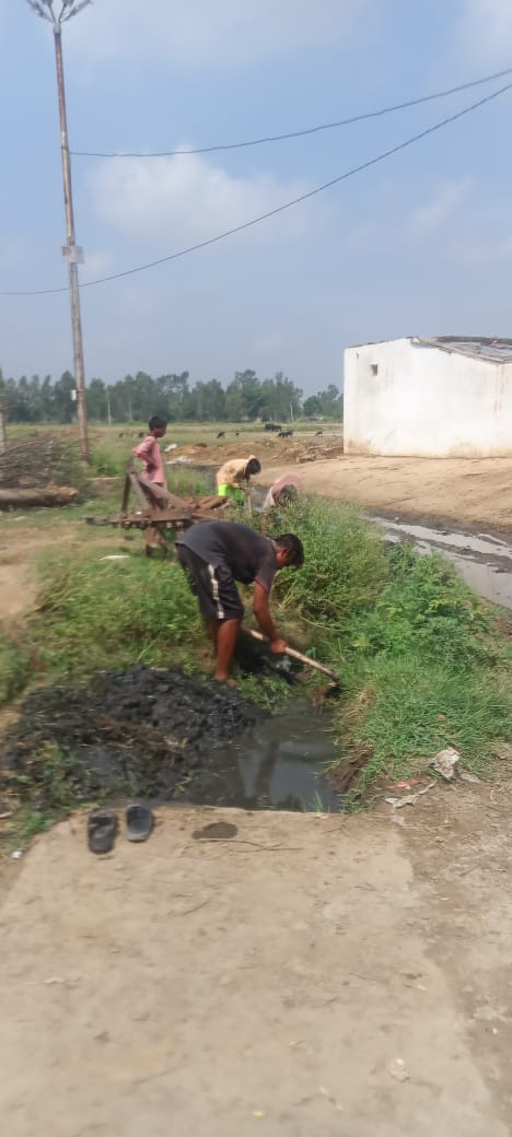 आँवला/बरेली - ग्राम पंचायत वराथानपुर के नवनिर्वाचित ग्राम प्रधान गांव की साफसफाई का रखते विशेष ध्यान।