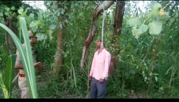 बरेली-पत्नी द्वारा शराब के लिए मना करने पर पति ने जंगल मे जा लगा ली फांसी