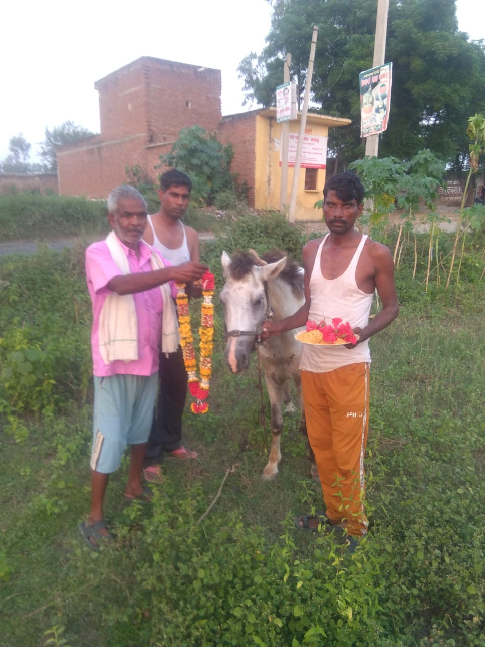 बरेली - बिशारतगंज थाना क्षेत्र में मनाया गया पशु दिवस जिसमें प्रजापति समुदाय के लोगों ने घोड़ों को चना व गुड़ खिलाकर जय माला पहनाई।