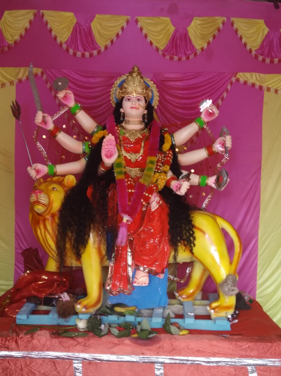रायपुर:- ग्राम मढ़ी में किया गया दुर्गा प्रतिमा विराजमान