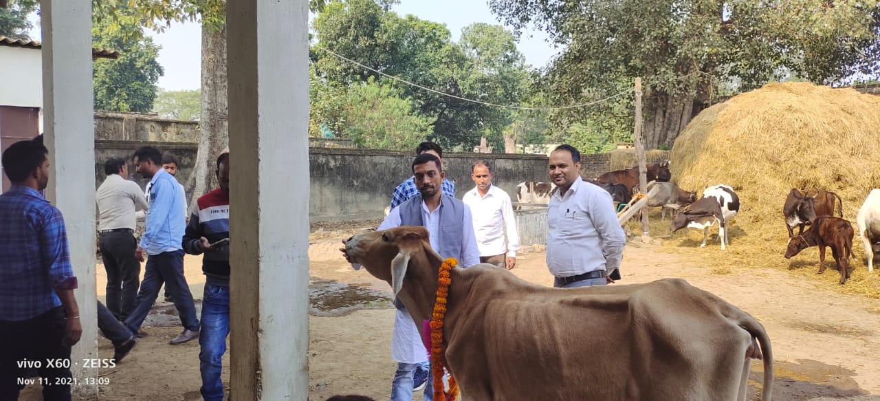 पीलीभीत: गोपाष्टमी के पावन दिवस पर गौमाता के दर्शन पूजन किया गया।