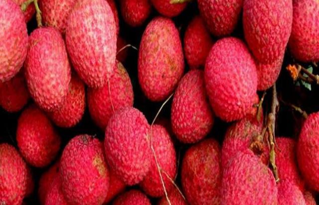 क्या आप जानते है लीची के खाने से कितने फायदे मिल सकते हैं