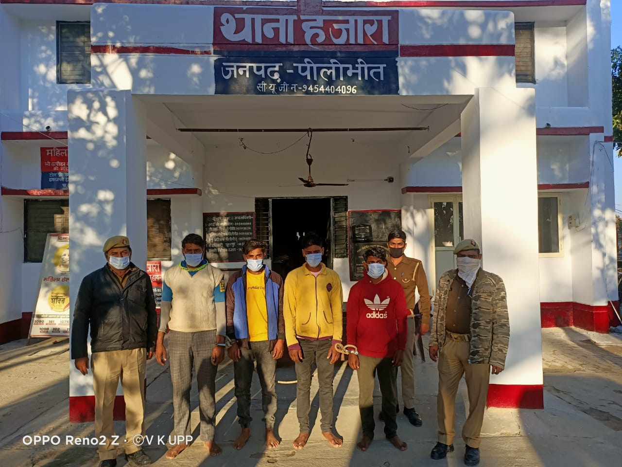 पीलीभीत : थाना हजारा में गौवंशी तस्करों ने किया आत्म समर्पण