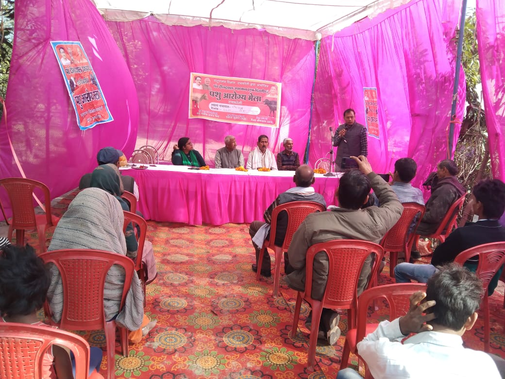 रायबरेली :पशु आरोग्य मेले में 264 पशुओं का हुआ चिकित्सीय परीक्षण