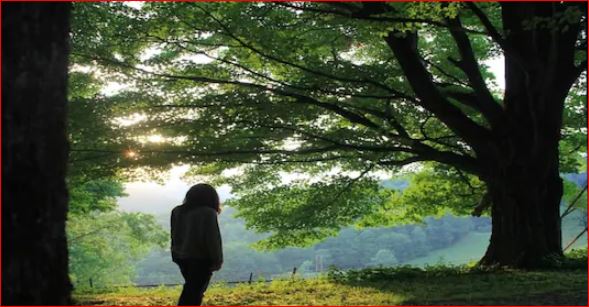 अजब गजब : महिला ने इंसान छोड़ पेड़ से कर ली शादी, 3 साल से जी रही है खुशहाल शादीशुदा ज़िंदगी !