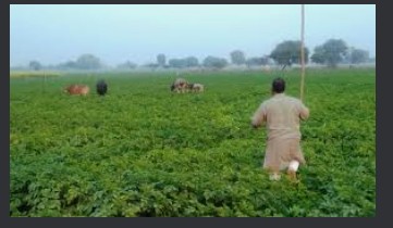 बरेली-बरेली में बज रही अपनी ढपली,गाया जा रहा अपना राग