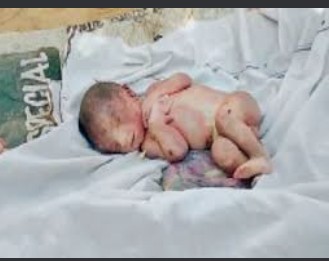 बरेली-करगैना पुलिस चौकी  क्षेत्र में मृतावस्था में मिली नवजात बालिका