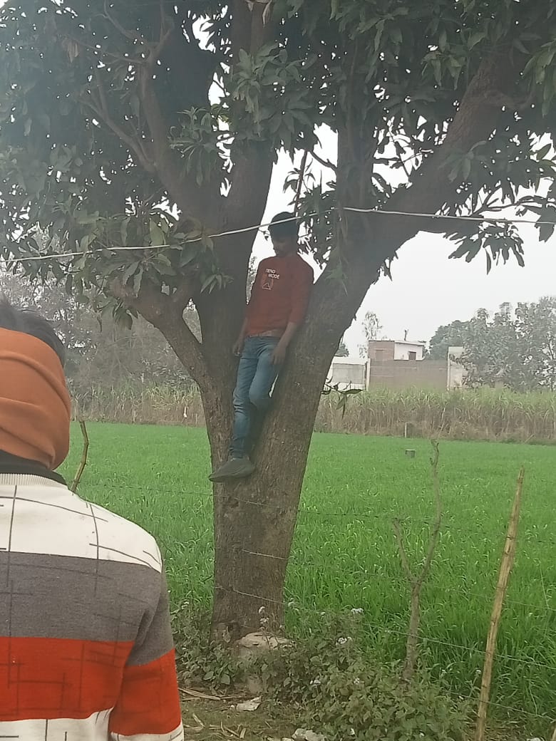 बहराइच: मिहिनपुरवा जरही जाने वाली रोड पर आम के पेड़ से लटकी मिली युवक व्यक्ति की लाश