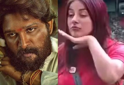 शहनाज गिल का स्टाइल पुष्पा में अल्लू अर्जुन ने कॉपी किया था, आइये  बारे में जानते है