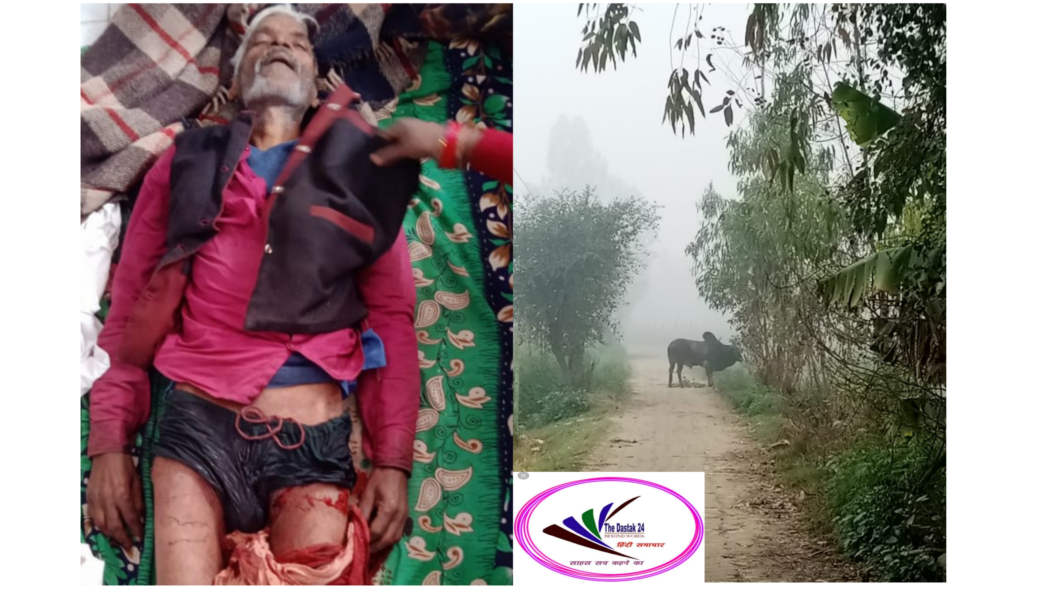 सीतापुर: फसल देखने गए किसान पर आवारा सांड का हमला, हुई किसान की मौत,, मौके पर पहुंचा प्रशासन  ,आवारा सांड को पकड़ने वाले को दिया गया  12000  रुपए का इनाम
