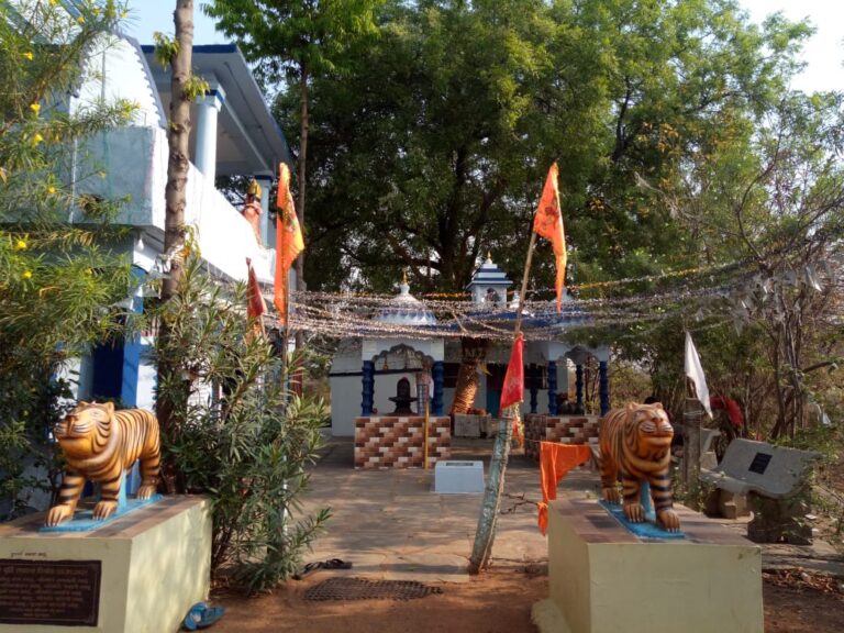 रायपुर :- चैत्र नवरात्र पर्व पर देवी मंदिर में आस्था के दीप जगमगाया