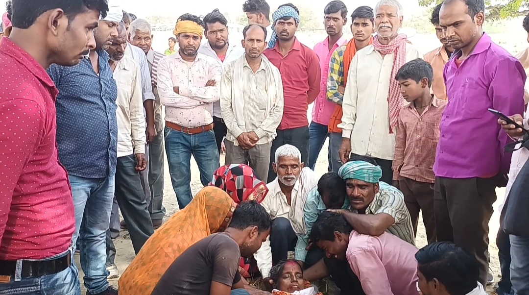फर्रुखाबाद:बंदरों के आतंक से प्रधान सहित कई लोग जख्मी ,एक महिला की मौत