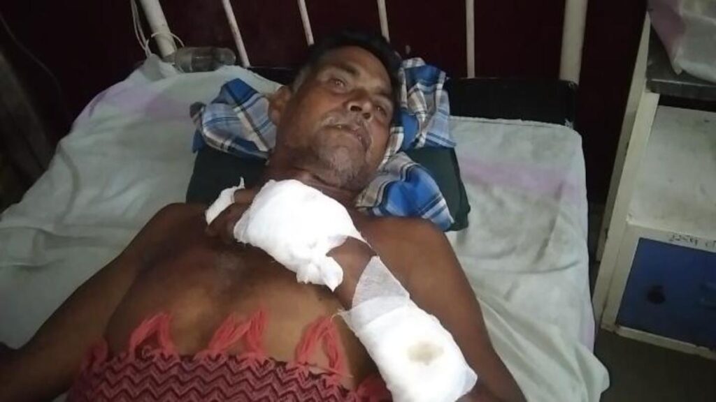 कोरबाः दो सगे भाईयों पर किया हाथी ने हमला, सूंड में लपेटकर जमीन पर पटका