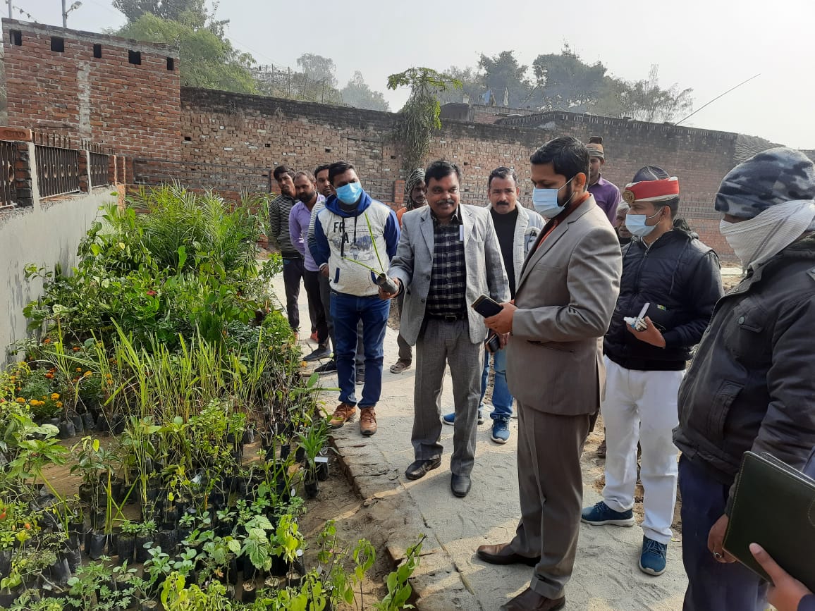 पीलीभीत: अमरैयाकलां में विकसित हुआ 118 प्रजातियों के पौधों वाला हर्बल पार्क।