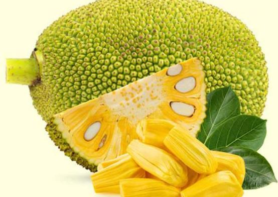 पोषण से भरपपूर है कटहल, ऐसे बनाएं अवधी कटहल कवाब की रेसिपी