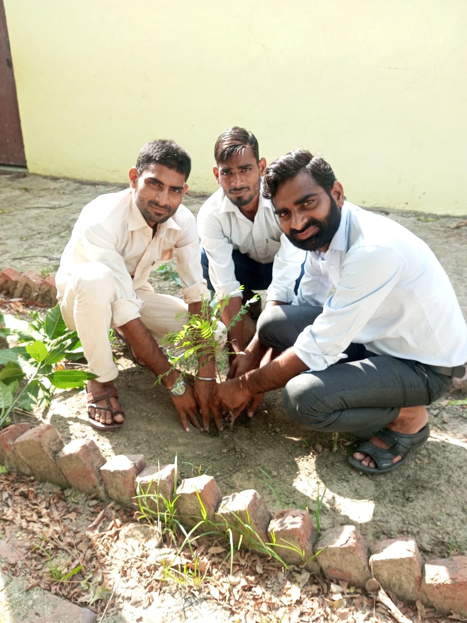 बरेली/आँवला - कृष्णा इंस्टीट्यूट ऑफ मैनेजमेंट एंड टेक्नोलॉजी में मनाया गया वन महोत्सव सप्ताह।