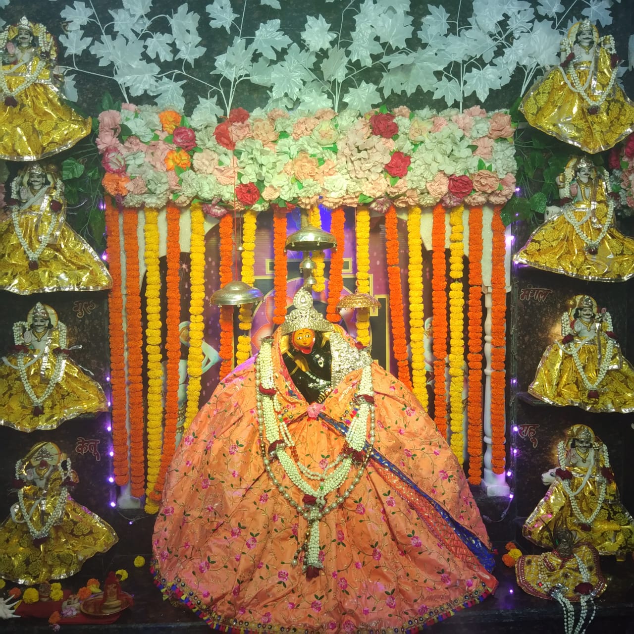 रायपुर:- श्री शनिदेव भगवान की जयंती मनाई गई