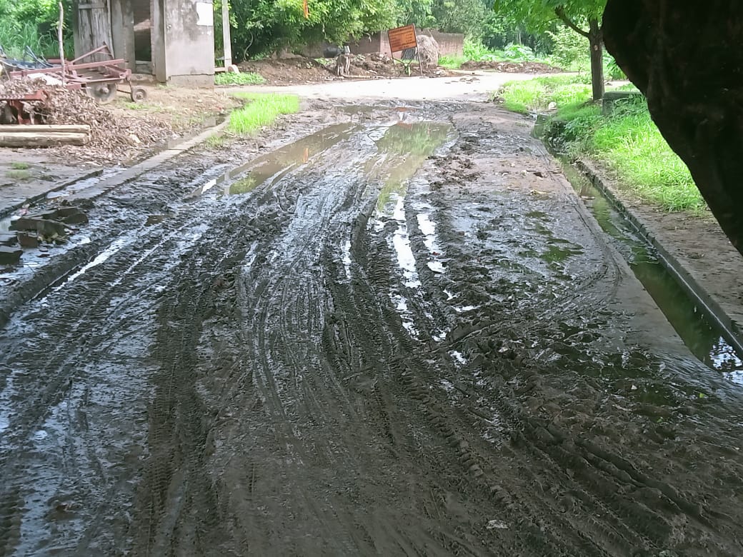 पीलीभीत: रास्ते में फैली गंदगी पर धान रोपाई कर जताया विरोध