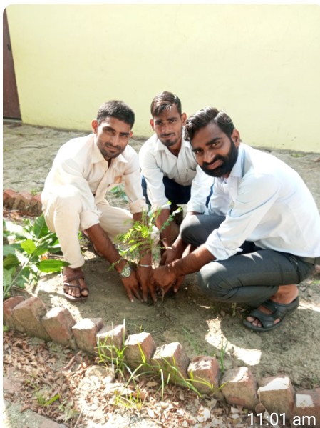 बरेली :कृष्णा इंस्टिट्यूट ऑफ़ मैनेजमेंट एंड टेक्नोलोजी ने मनाया वन महोत्सब वीकेंड