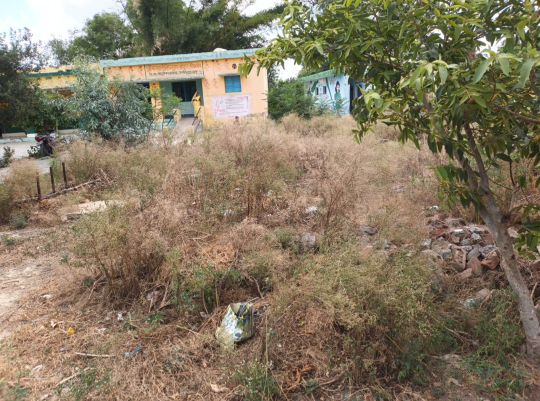 फर्रुखाबाद:स्कूल में झाड़ियां या झाड़ियों में स्कूल