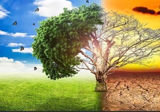 जलवायु के परिवर्तन से पानी के जंगलों को हो रहा  खतरा