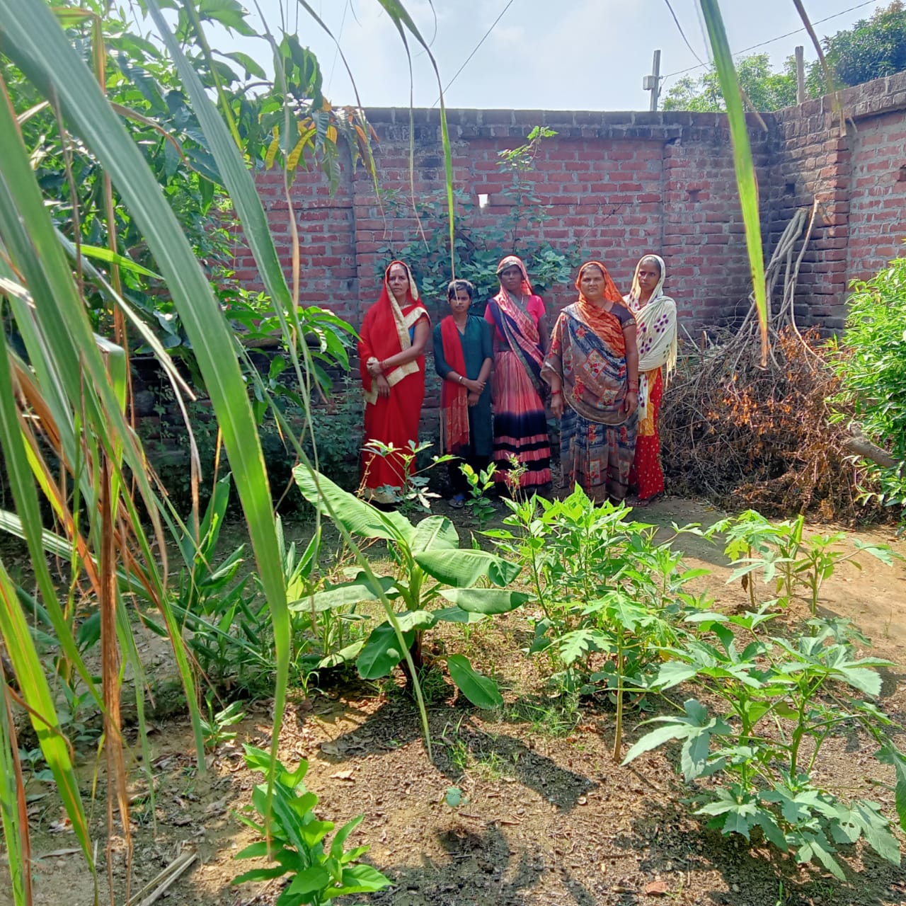 फर्रुखाबाद:‘अपनी क्यारी-अपनी थाली’ मुहिम को सफल बनाने के लिए आंगनवाड़ी केंद्रों पर बनाई जा रही है पोषण वाटिका