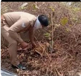 बरेली :गौवंश के अवशेष मिलने पर मुखबिर की सूचना पर पुलिस ने एक को पकड़ा