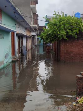 पीलीभीत :पत्रकार की गली को जलभराव से मुक्त कराएंगे विधायक