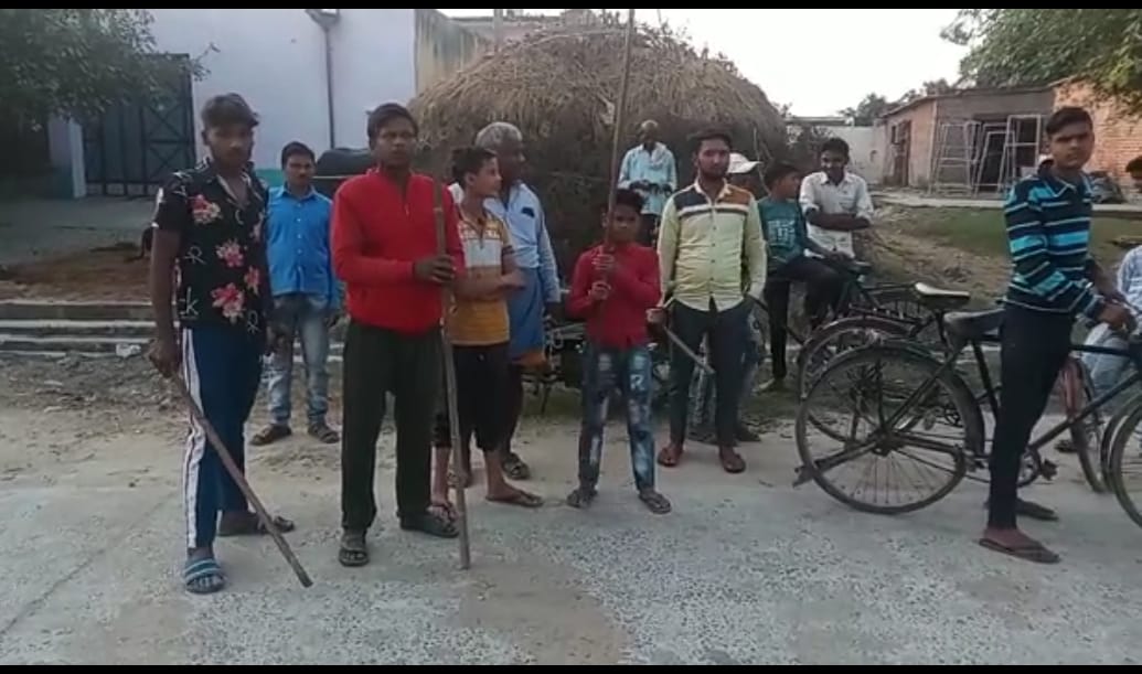 बरेली - सिरौली थाना क्षेत्र में एक बन्दर का आतंक एक दर्जन सें अधिक ग्रामीणो को किया लहुलुहान।