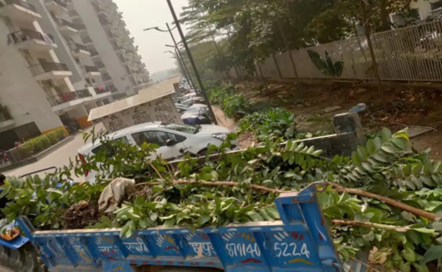 गौतमबुद्ध नगर: ग्रेटर नोएडा वेस्ट हाउसिंग सोसाइटी में कटे पेड़ स्टेट मैनेजर समेत, बिल्डर पर भी एक्शन