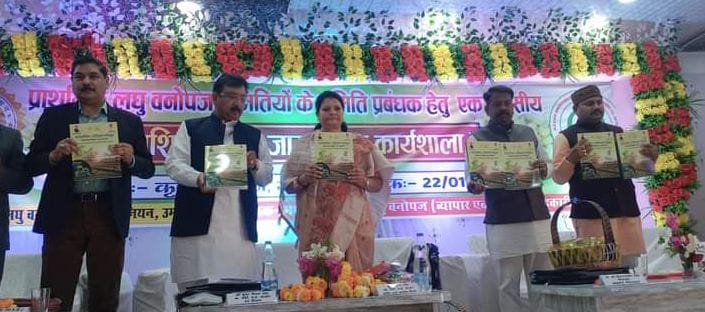 उमरिया - वन मंत्री एवं जन जातीय कार्य मंत्री ने अनुकंपा नियुक्ति तथा बीमा राशि के क्लेम वितरण किया