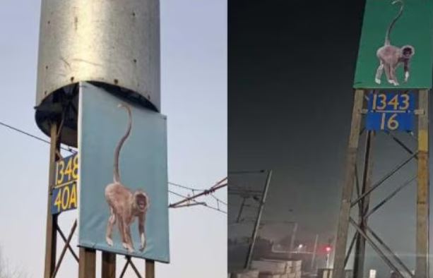 बंदरों के आतंक से परेशान रेलवे ने ये किया काम, जानकर आप हसेंगे