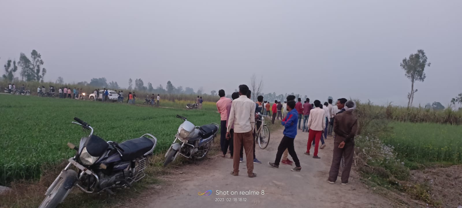 पीलीभीत:ग्रामीणों ने बाघ का वीडियो बनाकर सोशल मीडिया पर किया वायरल