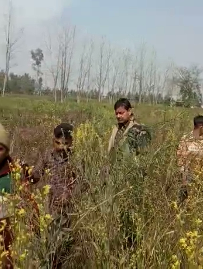 बरेली - सिरौली थाना क्षेत्र में तेंदुए की तलाश में पहुंची वन विभाग की टीम।
