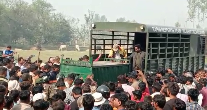 पीलीभीत:पांच दिन बाद बाघिन का हो सका रेस्क्यू, ग्रामीणों ने ली राहत की सांस मिली